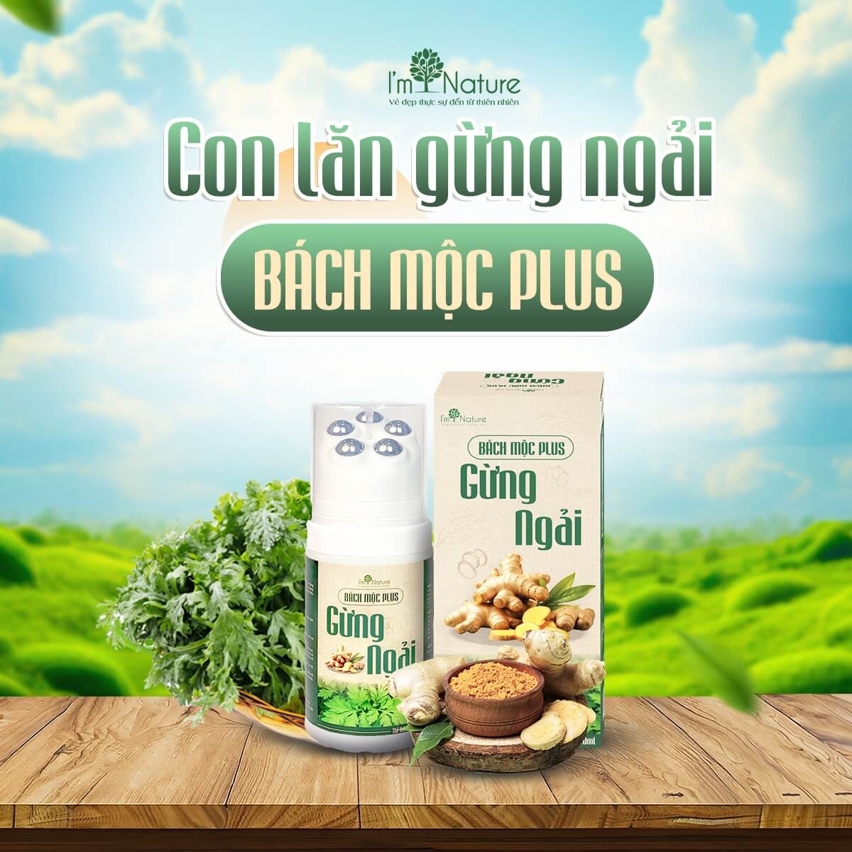 Con lăn Bách Mộc PLus Gừng Ngải là sản phẩm gì?