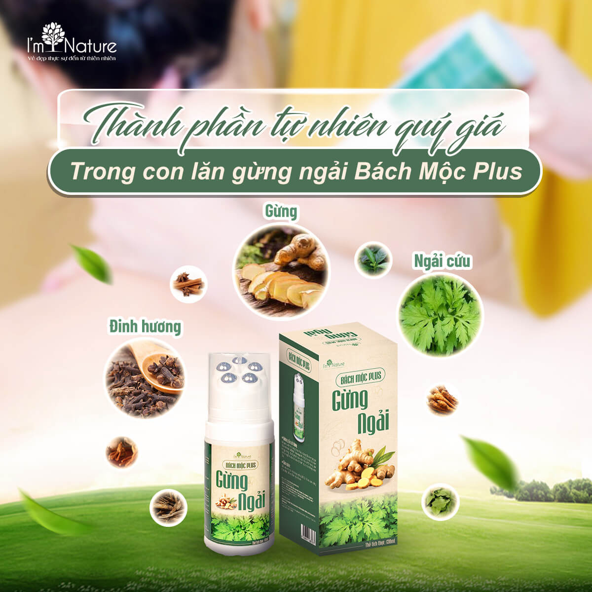 Thành phần chính và công dụng của Con lăn Bách Mộc PLus Gừng Ngải
